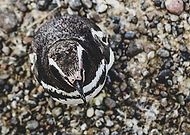 2019-05-01/051dd9ce1202ec7ca499d00b2baffb1e_0d22b75a8b9823234245b70f60cb220f