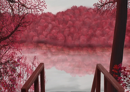 2019-05-01/2ebe59438a194f1315ab1623c894b327_2add252735a75a1546d6084fcb0bd0d6