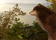 2019-05-01/563ab3e01200aa314dce6fb8802ad2c0_4fa657c927ea12caec70a1fd84874d2f