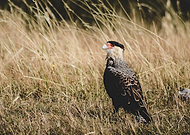 2019-05-01/e727d74f672dafeb78cc8c530d7b833a_1e21cc289f3d43a9d600542091813338