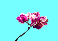 2019-05-02/19b1699fa13ac09f9f34d5fc6ebe4682_54607baba2af5b9c3f739720c3472a28