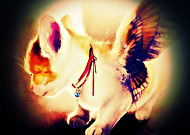 2019-05-02/1bbf627991ec2e881897aace435ded35_a6a0e387cdcc9293ba5e1b0388bafef3