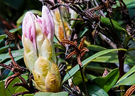 2019-05-02/496bb43c79811ff2e4737b8252c1460e_125f9502e3debedd1eef2794c8f0279d