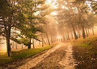 2019-05-02/4ee74278ebd614e7ff68b9f958e43f64_0e6e0ac0935f31785c98c47ae4137b8d