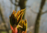 2019-05-02/8781854595a2ed8e0105d0a3fe89efcf_777486608690ce9d5f0f5d8f834f9303