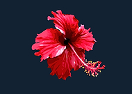 2019-05-02/9bed1819f63e1c3064ce8a229afe6d9f_63d59b329d55aeab67dbdc2218a2d24c