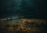 2019-05-02/d1a25e4d57e9117924be2ccd06b887c9_85512b7956cec7d7980f769c054e99d5