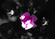 2019-05-02/f6c590202f0038284a812f97ea4ea498_8195201f9777af64bb14e4e560ef61ca