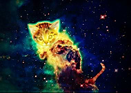 2019-05-02/fbfabbc298a868b9c97eaaf655dea2a4_30f7a02f245975228536bebd00bc4bb6