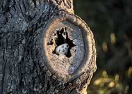 2019-05-02/fc67bdaf3737d660f5280db43155922b_be8585039f4d48572496a1fa2d2f45da