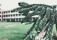 2019-05-02/fcc1f949108af85484b41a7c75d7dde2_12e0236310373369736441f9c29b01c1