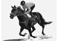 2019-05-03/1c2005d9565cd01206c571c68a3cb7b8_ddd0a80ca051a24970b26868f910eeda