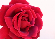 2019-05-03/2123da28ab348ca6fa00297fe7bc8444_f511b465c28208fec7c86023e88afee2