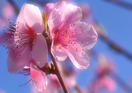 2019-05-03/287e262bad8a9742a33e55cff7ebaab1_10a9449441f2f1f395a93f2be0d6e4b9