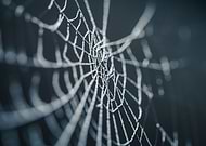 2019-05-03/83d40e057a31ce4cb4e195d60d281123_78d1aae8bca30eacb79fff91ad7bb331