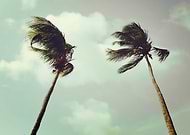 2019-05-03/a21ecbbb21c05b1c9355b069d6f9cad4_f3220ca0e0b7e1aa4cdb5c51363e8172