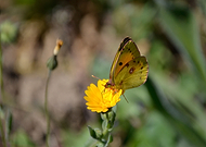 2019-05-03/c00a192fc276d47efed0b7b9afcda2eb_e2cb9241b3929ed355f661756f6207dc