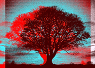 2019-05-03/ee8273916021d26357a279223674f4d0_4bc7fb576c609b086400c0487ad31f0c