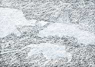 2019-05-03/eec8fd2e47893e10ec8a94158f2e9a1f_ca2554ac882e99e2b3a3b6120189cb53