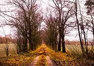 2019-05-04/02f186877b601c19efe6191e07f0cdcd_2c5d14a2102e63141e2ddf5f45cd74dc