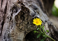 2019-05-04/14fa3a138eb6590ba7e32eba4d424604_5230df3043789fa648ec3a9acd322bc6