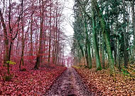 2019-05-04/c28a9a8b8250683ede16894b2e39482e_04077d4f6e9dcb431fa5798e47245c3c