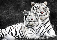 2019-05-05/04048fb891cae54d0e4a9a132c83fffb_f491c8cede451ddd2e55f0221a3f6367