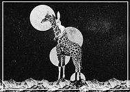 2019-05-05/a9fc39de69ee3eaf86bd948d458ae256_1d4d9dad27a2211a1e1cca6ee335f5b7