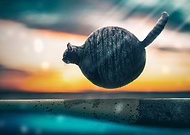 2019-05-05/f35b77149f8d67af27d8a54f875d76f8_e1d91a46ac5eba88889988d3931efe1d