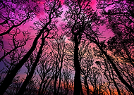 2019-05-06/cb25741157ce41b1a22cfd1bb3797c7a_28b1a77dcc1239740a1ebd25e2f900b2