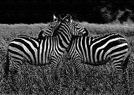 2019-05-06/d93a5f943c6fd7aab3e45adab617d1fa_8c4d258e79d14fe546d0bdb574940f2e