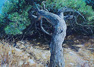 2019-05-06/e7041e3e7102a15432c321f27e19051a_1d2d2bfa946b973c2f4751db50809721