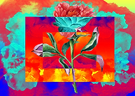 2019-05-06/f709fdab610bce2af7a7a67f5e1c03da_74fffd559b720e0d0b2d42ea9d358108