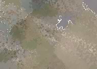 2019-05-07/36ab8a61538b92c04636ebdffac3434f_1b7ed2399103dea35c27a0f895105a50