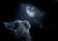 2019-05-07/5cbdbf8d24bc4aa8ca0a1be2ad7b91ef_c3a0c1af386a26945666eec5bd26b9e3