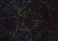 2019-05-08/020618593e15d2cb9dae95ac5a455b2d_66f047400f490b6e8e88d52840e48023