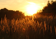 2019-05-08/1c577c6fdf8d318c6d0a8c5036dee41d_a24746423c8fb07957b831e98f7e1a7d