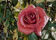 2019-05-08/9d007f3a7a6b0653e3623ef259b54330_364222049e2fffe4171e0421bf5a6137