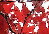 2019-05-08/b1b591d589c818539474ef8fcdd3c46a_ecbe8d866ed4f510bb82bb41116f7c25