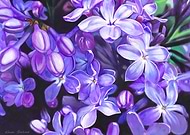 2019-05-09/6d215594d83ada3fb1305b6cea510d70_bd4ba4f4b7500119246d9ee0d07765cc