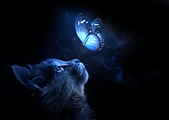 2019-05-09/6d9306552a520763e53c24f6f029bdef_fa39e0b72daeb8056e0e8b42b4c01c0a