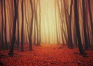 2019-05-09/75e9af121c73d3d23a7eb58ae86b2245_c3c3181ddc0fc1c34c79869e03677bc0