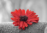 2019-05-09/83d5732751127b5ab844d19422dbda59_3e1edb935aaf6a9351dc4035145692b9