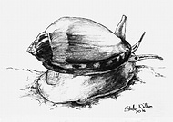 2019-05-09/d59da61cb3f0869cf63ca81967e1136d_5312c5f6f4bd5616c436c3f90647b6ac