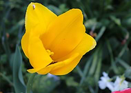 2019-05-09/f535948f592c697b76f9f868447e338e_4bb179d5ec8def2579ad6dfafb189ece