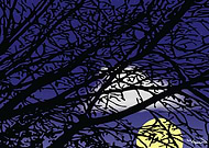 2019-05-10/3c22ca56657fc26c65b0a2d029428c09_2dc049cefd9e8527078b81aadf350951