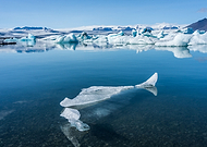 2019-05-10/3c2ee0e28d7bb245a1faf8da65316137_aa7a7c3db61675d00b8825692902560a