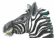 2019-05-10/6ce178c548218bc33efe39b9afbd27cd_446cb1f6334d797995ed88750d0dd7ca