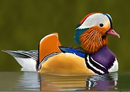 2019-05-10/d519e8bdc3c6c80291148e907da048fe_73a01180b5282e508916b282bb72d4ed