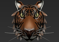 2019-05-10/f603cd23d615a49dc461686ad6291b05_90453bcd51570979a3598ce1e3209594